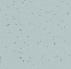 Линолеум Forbo Sphera Energetic 50223 frost фото 1 | FLOORDEALER